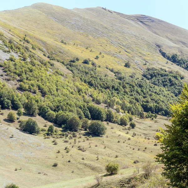 Godi Pass Aquila Abruzzo Italy付近の明るい光で撮影されたギリシャの範囲の温和で木製の緑の斜面の風景 — ストック写真