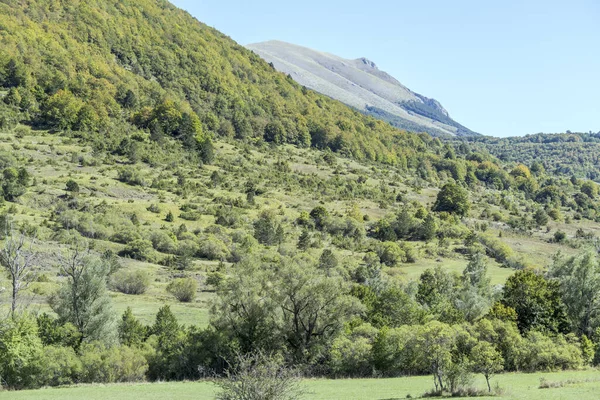 Krajobraz Zielonymi Drzewostanami Palombo Szczyt Strzał Jasnym Świetle Pobliżu Pescasseroli — Zdjęcie stockowe