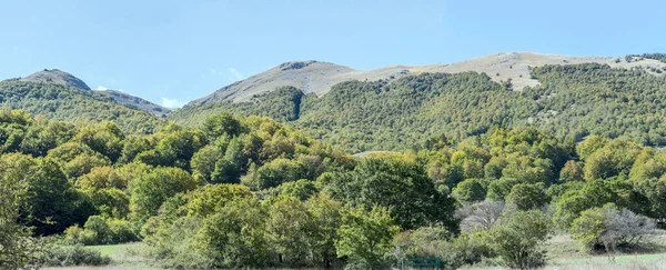 Landskap Med Träd Och Skog Gröna Sluttningar Palombo Topp Skjuten — Stockfoto