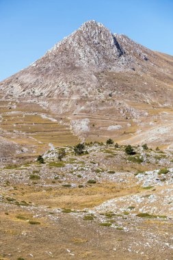 Verimsiz yamaçlardaki seyrek ağaçlarla ve Capo la Serra geçidi yakınlarındaki parlak ışıkta çekilen Camicia tepeleriyle, L 'Aquila, Abruzzo, İtalya