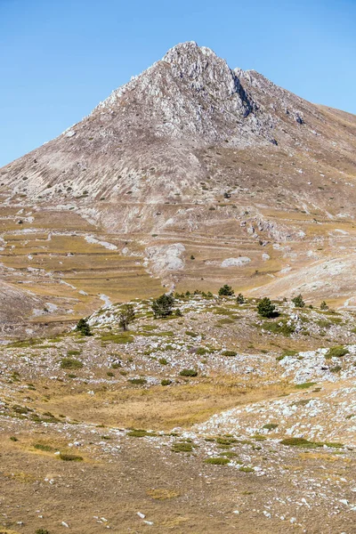 Landschaft Mit Spärlichen Bäumen Kargen Hängen Und Camicia Gipfel Aufgenommen — Stockfoto