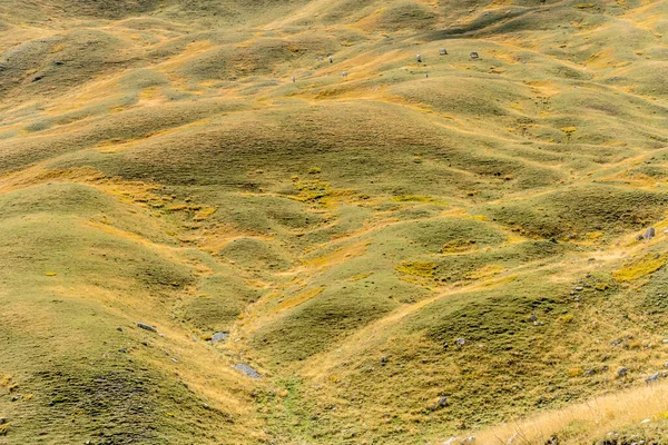 Paysage Avec Troupeau Vaches Sur Pente Verte Douce Tourné Dans — Photo