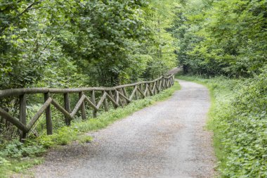 Yeşil vadi kırsalında, Gornatif Olona, İtalya yakınlarındaki toprak toprak yol kıvrımlı manzara