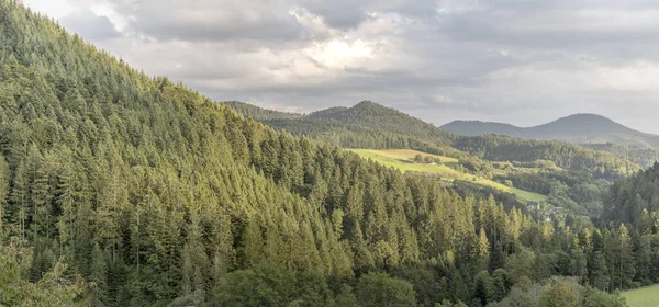 Krajobraz Farmą Zielonej Polanie Wśród Lasów Nakręcony Świetle Lata Chmurami — Zdjęcie stockowe