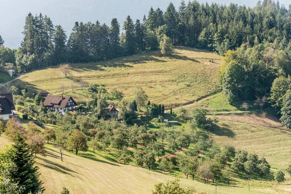 Krajobraz Drzewami Owocowymi Wiejskimi Domami Zielonej Polanie Wśród Lasów Zdjęcia — Zdjęcie stockowe