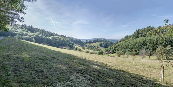 Paysage Avec Des Arbres Fruitiers Dans Clairière Verte Milieu Des — Photo