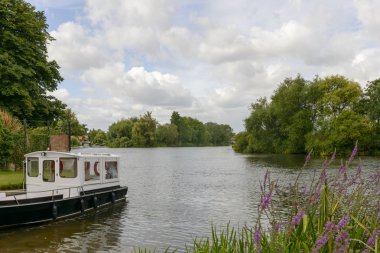 River thames wargrave eğiliyor.