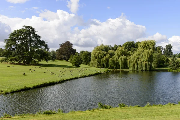 Stromy a jezero v leeds castle park, maidstone, Anglie — Stock fotografie