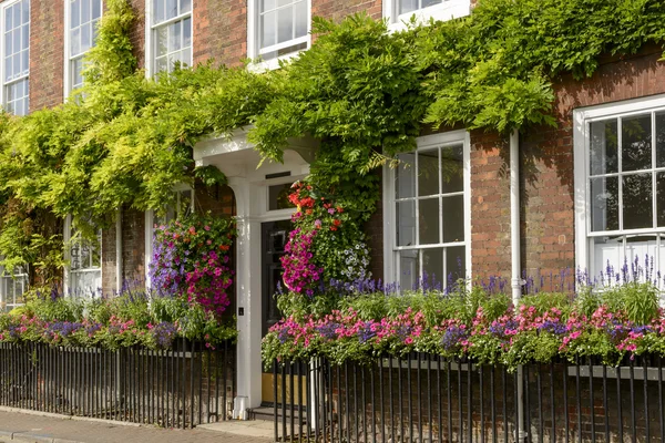 Bloemen op bakstenen gevel, henley op thames — Stockfoto