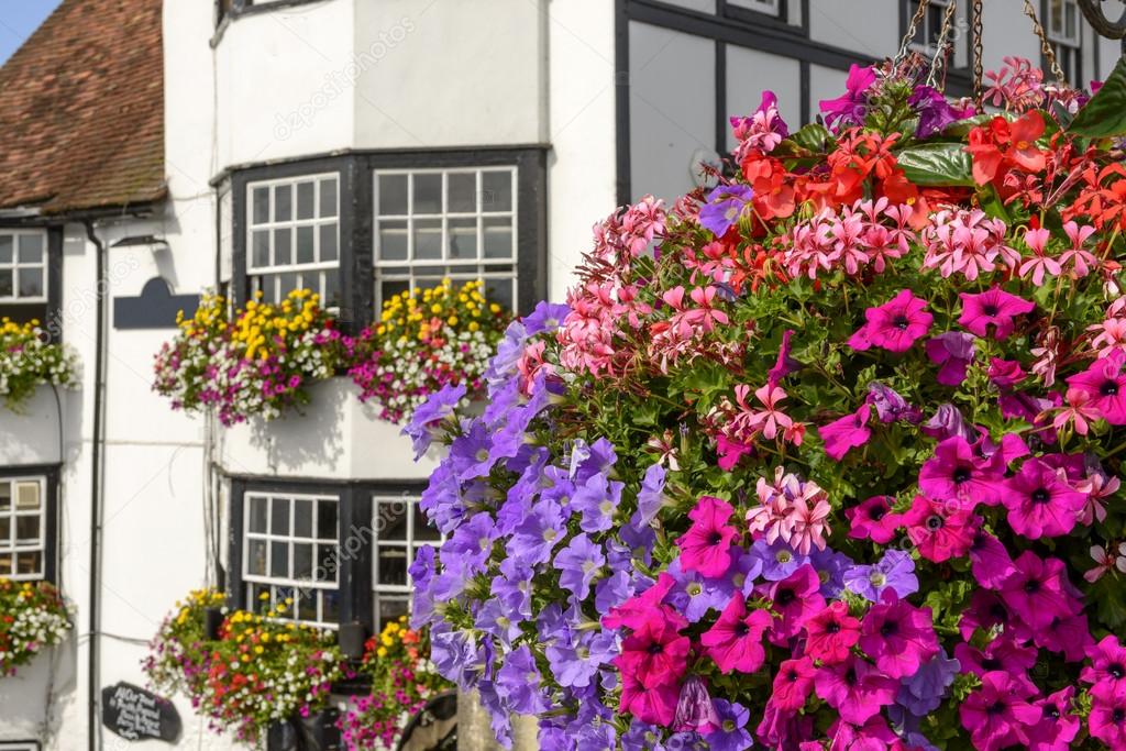 blossoming flowers and old houses, Henley on Thames 