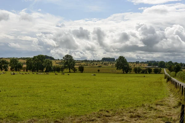 Liten väg och besättningar i somerset landsbygden — Stockfoto