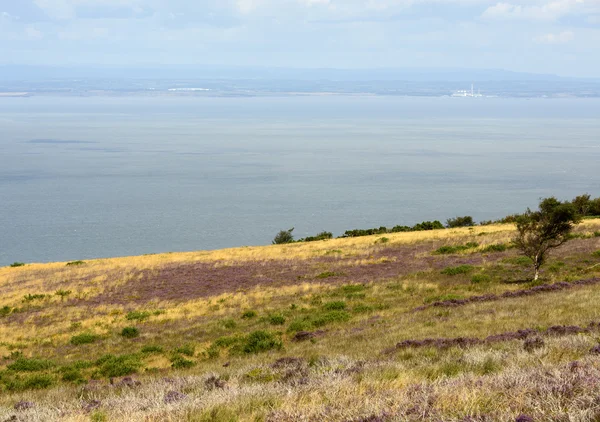 埃克斯穆尔植被和布里斯托尔海峡 — 图库照片