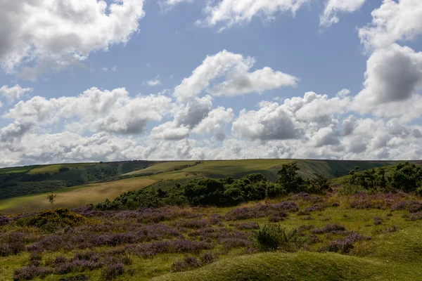 Hilly Exmoor paisagem — Fotografia de Stock