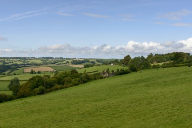  Wiltshire kırsal Corsham yakınındaki