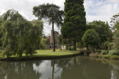  Wells ve yeşilliklerle Piskopos Sarayı Bahçesi, Wells