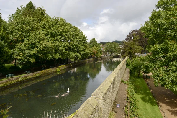 Swans in moat at  Bishop Palace,Wells — Stock Photo, Image