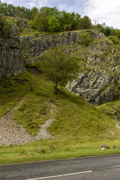 Pendiente rocosa en el desfiladero de Cheddar, Somerset —  Fotos de Stock