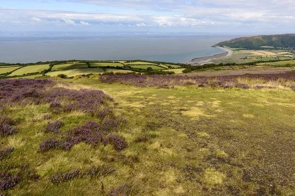 Moor landscape and Bristol channel coastline, Exmoor — Stock Photo, Image