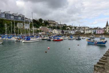 Harbour view Ilfracombe, Devon adlı