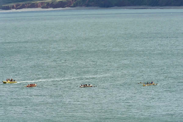 Соревнование по гребле на лодках в Кловелли, Девон — стоковое фото