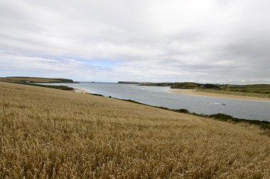 nehir Padstow, Cornwall, deve