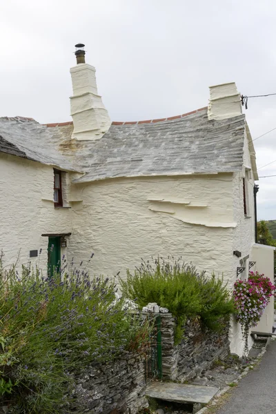 Stone wall of cottage at Boscastle, Cornwall — Stock Photo, Image