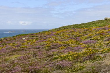 Heather ve deniz feneri arazi sonunda, Cornwall