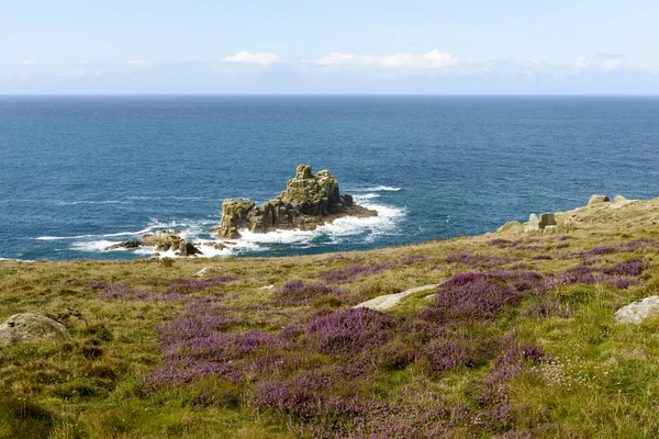 Heather och klipporna vid Land End, Cornwall — Stockfoto