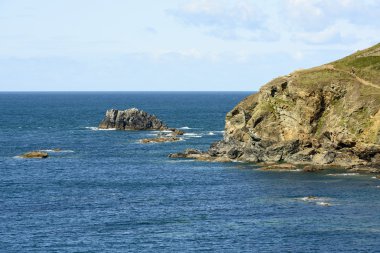 Man o'War kertenkele noktada, Cornwall kayalar