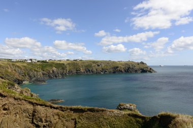 Evden defne kertenkele noktada, Cornwall