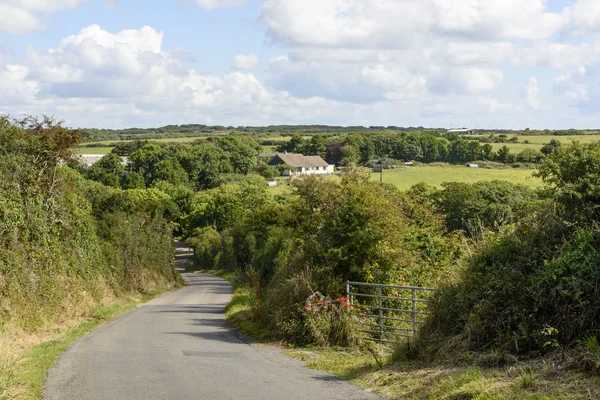 Malé venkovské silnici mezi živými ploty, Cornwall — Stock fotografie