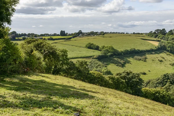 Svěží krajině nedaleko Liskeard, Cornwall — Stock fotografie