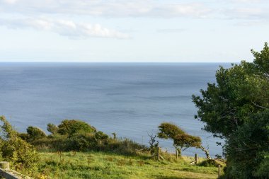 Looe, Cornwall yakınındaki sahil yolundan Deniz Manzaralı