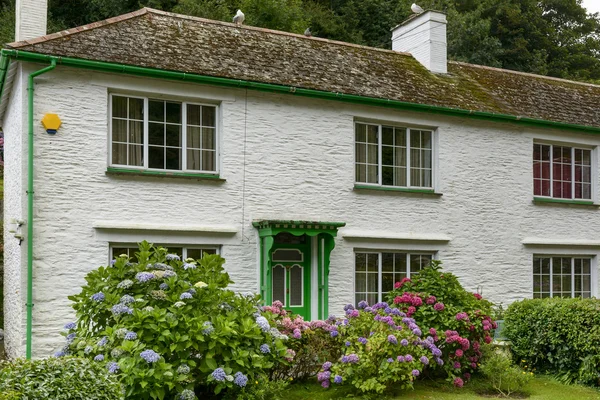 Hortensie und Häuschen, Polperro — Stockfoto