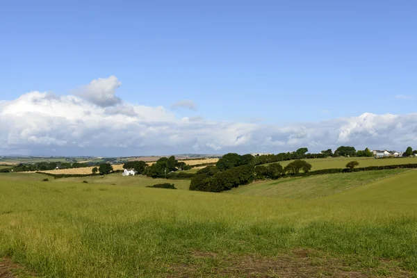 Dartmoor countryside near Bovey Tracey, Devon — Stock Photo, Image