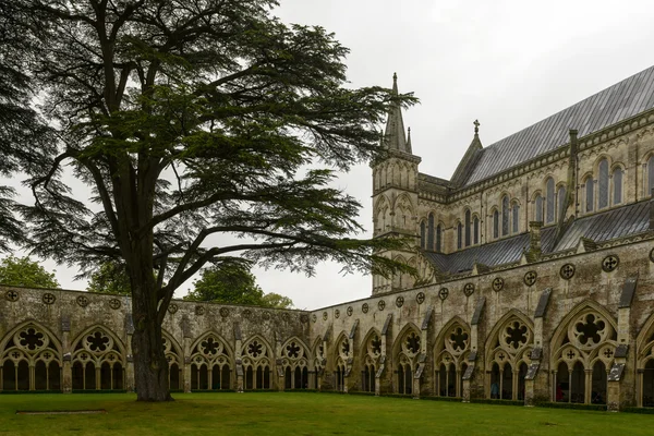 Katedralen och klostret, Salisbury — Stockfoto