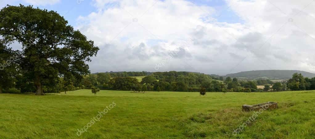 Dorset countryside near Yeovil