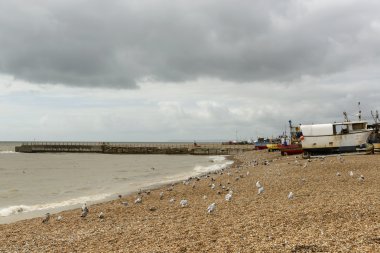 plajda, Hastings martılar ve balık tekneleri