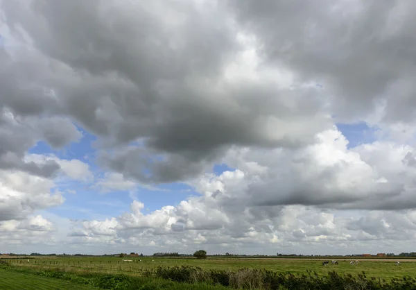 Zamračená obloha nad belgických rovinách poblíž oostende — Stock fotografie