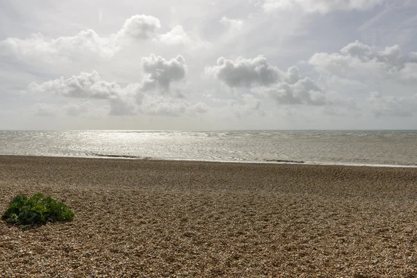 Spiaggia e mare a Dungedness — Foto Stock