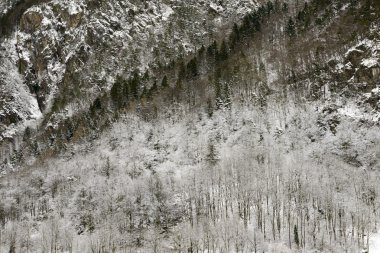 karlı ahşap dik Yamaç üzerine