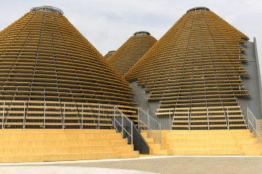 Expo Merkezi, Expo 2015 Milan ahşap kubbe