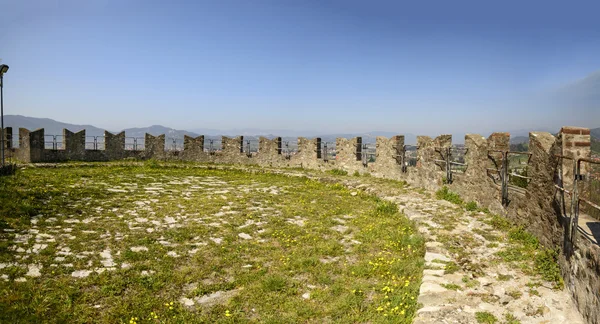 Merlons e grama sobre muralhas na fortaleza de Sarzanello, Sarzana Fotografia De Stock