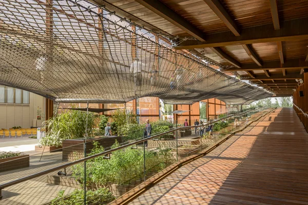 Passeio de madeira dentro do Pavilhão Brasil, EXPO 2015 Milão — Fotografia de Stock