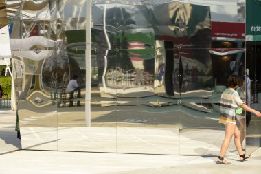 Pirinç küme, Expo 2015 Milan, çarpık düşünceler