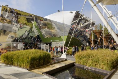 ripe rice flowerbeds reflections on rice cluster pavilion , EXPO