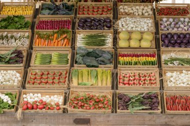 mockup of vegetable food on Decumano , EXPO 2015 Milan