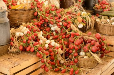 mockup of garlic and tomatoes on Decumano, EXPO 2015 Milan