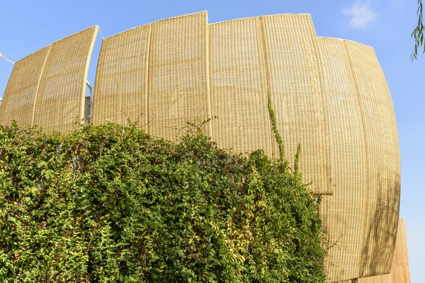 Detail of wicker shields at Indonesia pavillon, EXPO 2015 Milan — Stockfoto