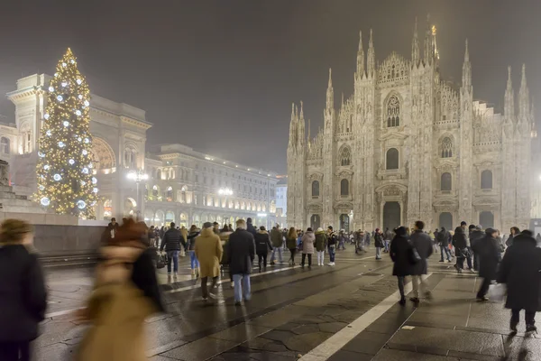 Albero di Natale di notte in Piazza Minster, Milano — Foto Stock